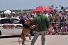 K-9 DSC_7867.jpg